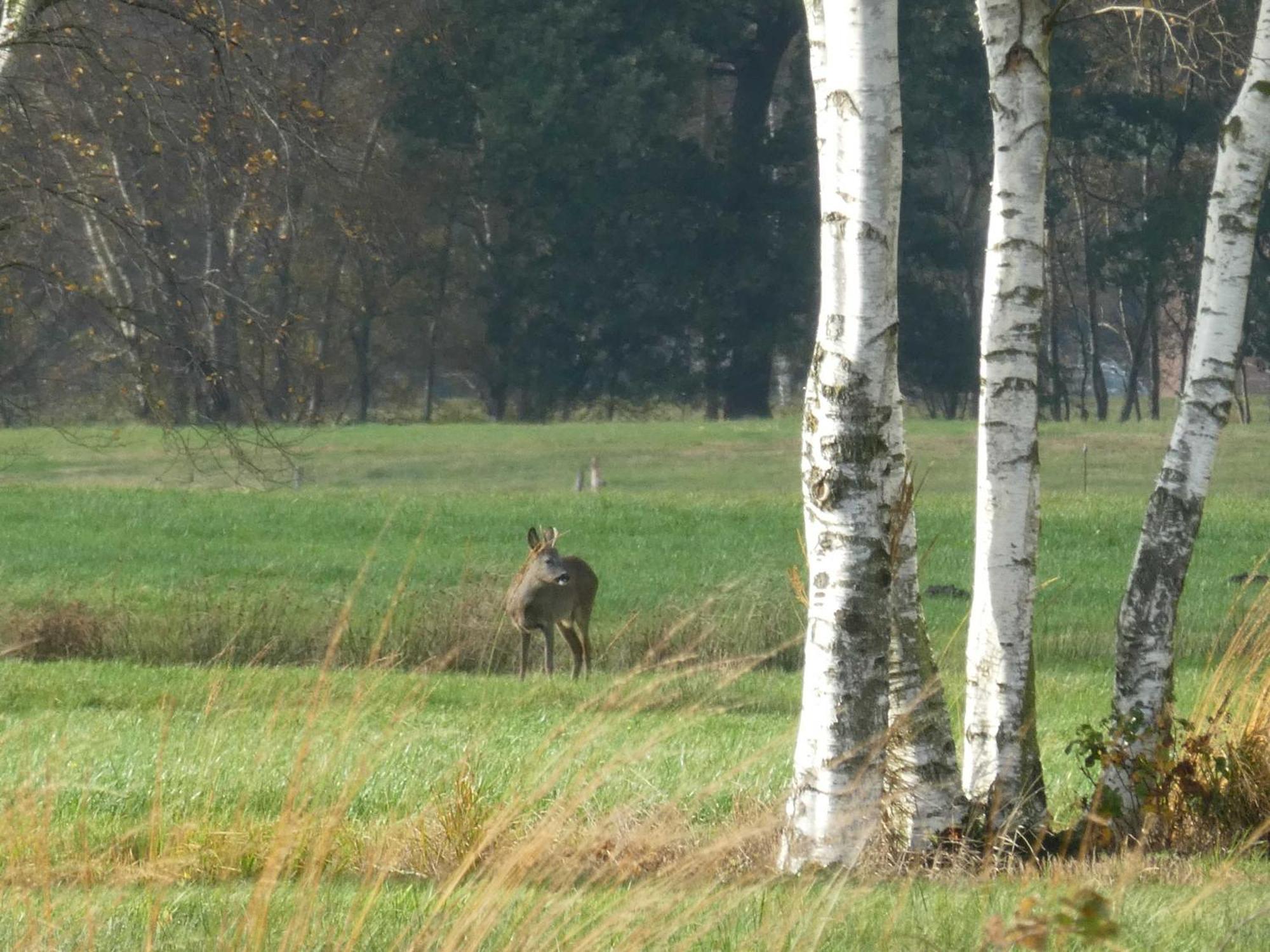 Herzfeldhof Worpswede Kültér fotó